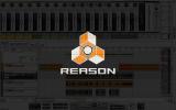 Reason